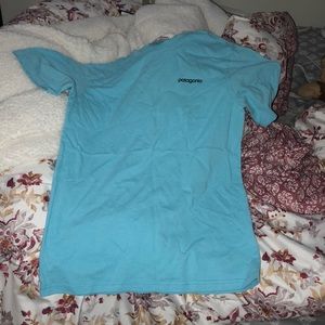 blue Patagonia shirt
